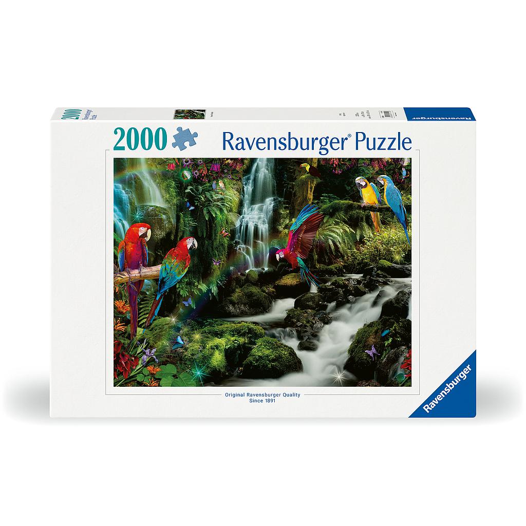 Ravensburger Puzzle 2000 Pieces: Colourful Parrots in The Jungle
