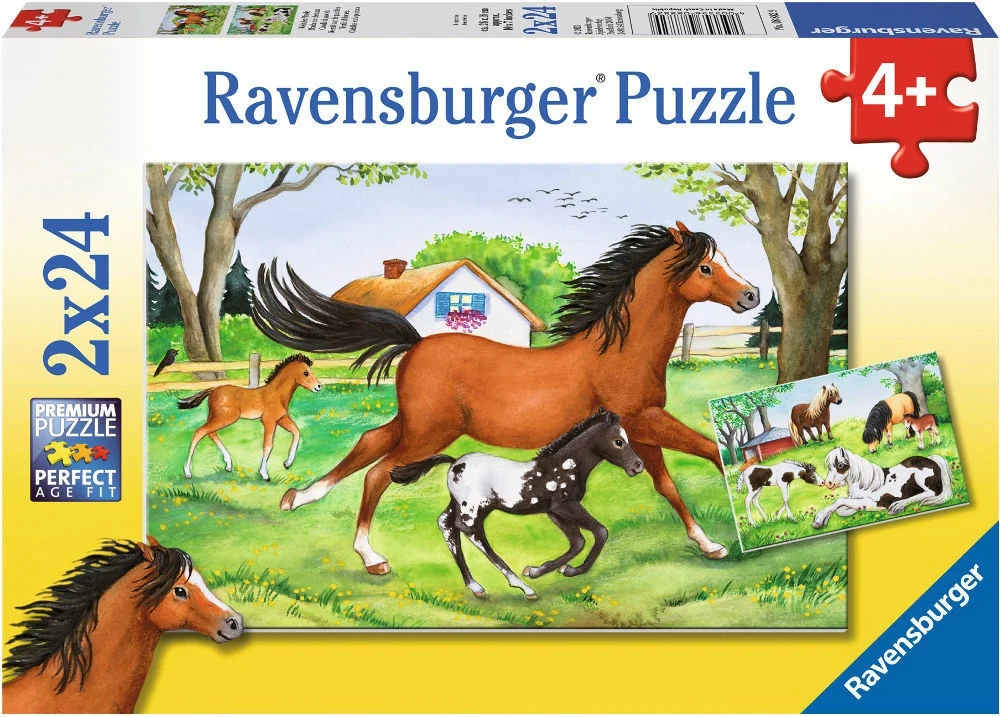 Ravensburger Puzzle 2x24 pc World of Horses 