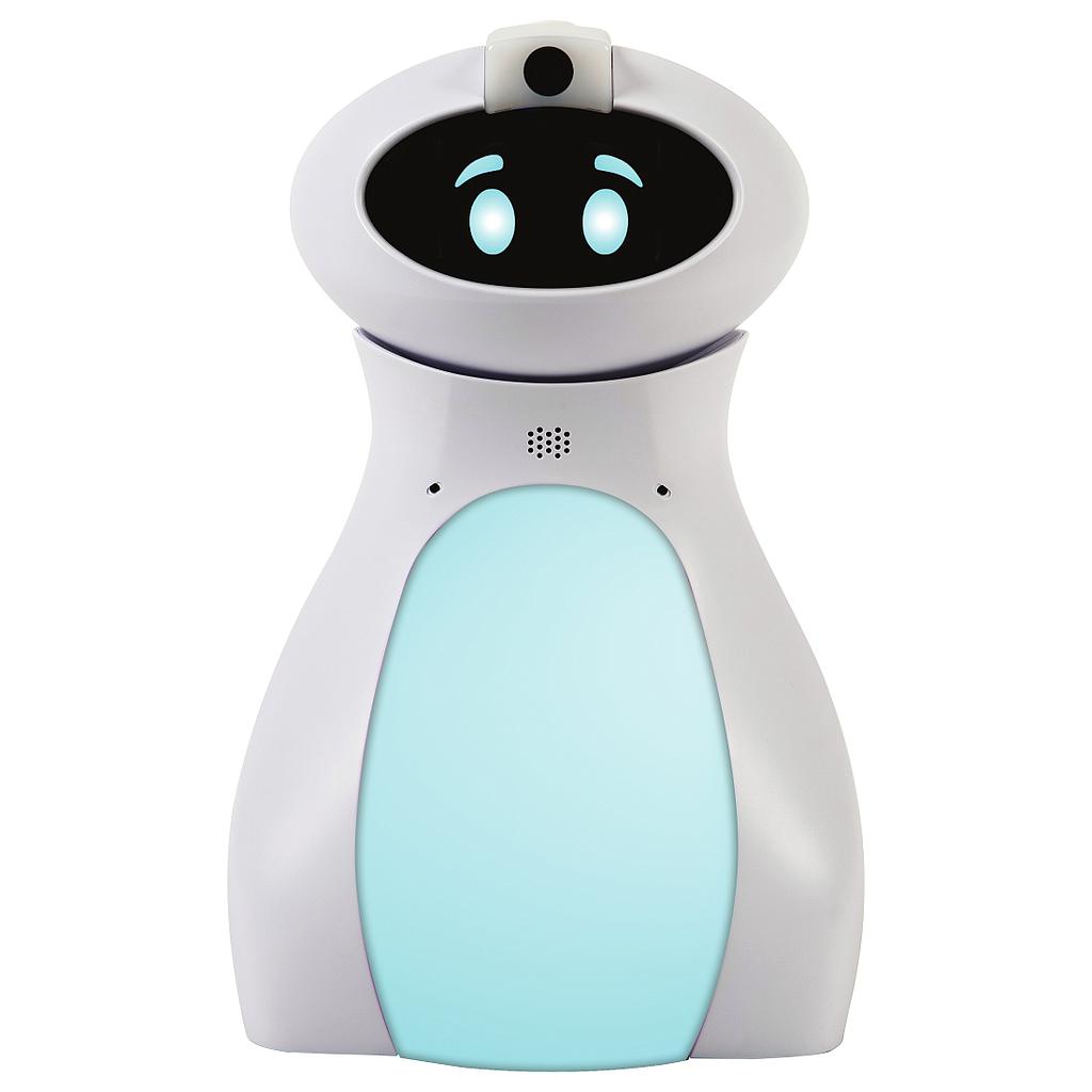 TTS Oti-Bot robot